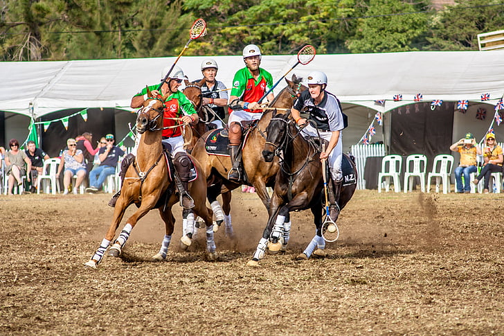 sport, polo cross, horse, polo, animal, competition, horseman