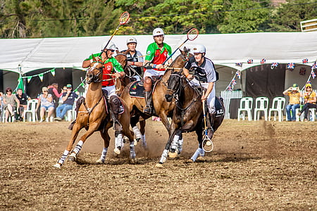 Sport, Polo cross, hobune, Polo, looma, konkurentsi, ratsanik
