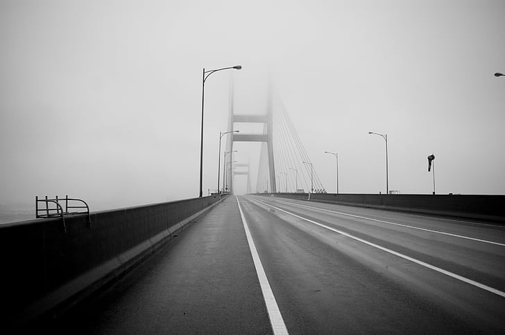yellow sea bridge, bridge, fog, highway, road, transportation, bridge - Man Made Structure