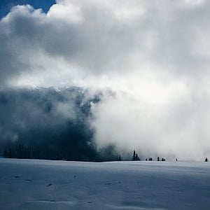 nori, noros, rece, ceaţă, Frost, congelate, peisaj