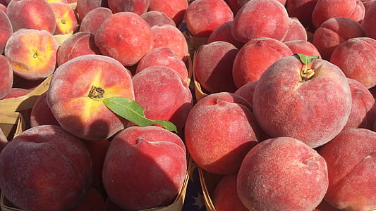 peach, peaches, fruit, healthy, summer, juicy, ripe