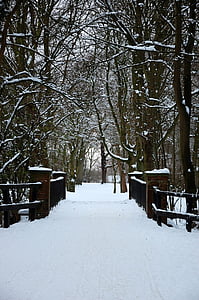 bridge, snow, winter white, snowy, cold, wintry, frosty