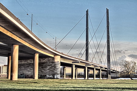 pont, architecture, Rheinbrücke, technologie, pont suspendu, pont de genou, ville