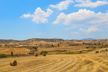 κριθάρι πεδία, μπάλες σανό, τοπίο, Γεωργία, αγροτική, καλλιεργήσιμο έδαφος, Χρυσή