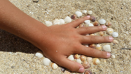 ruka, dítě, slávky, pláž, písek