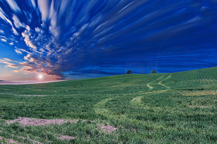 moln, gräs, äng, naturen, Panorama, Sky, royaltyfria bilder