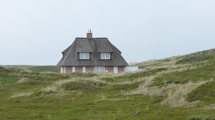 dunes, home, north sea
