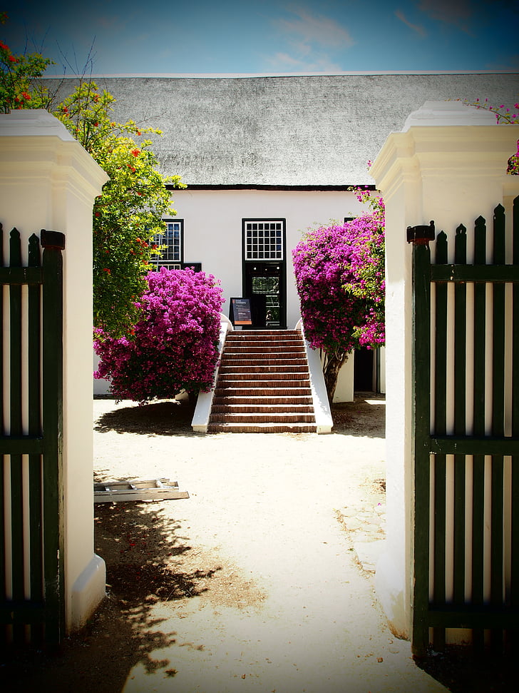 Sud-àfrica, celler, escales a casa, propietat, vinyes s, sostre de palla, illa de Bougainville