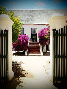 south africa, winery, stairs to house, property, winelands, thatched roof, bougainville