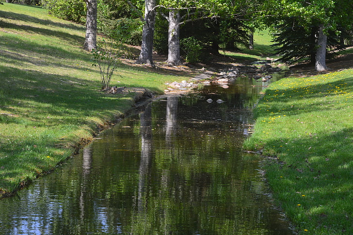 stream, reflection, trees, park, water, nature, landscape