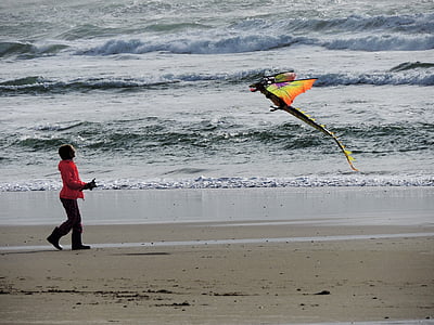 beach, kite, kite flying, fun, flying, sand, coast