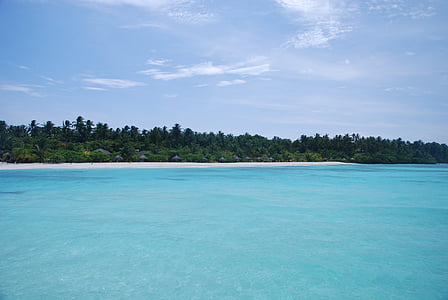 바다, 몰디브, 레이아웃, 비치, 하얀 모래