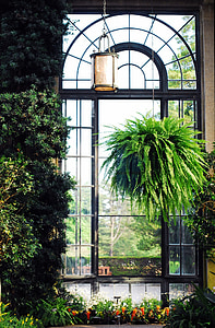 Longwood, Giardini, finestra, Conservatorio, serra