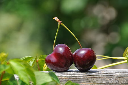 čerešňa, dvojica, ovocie, sladký, jedlo, Berry, letné