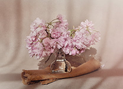 flowers, cherry blossoms, flowering twig, pink, pink flowers, vase, glass