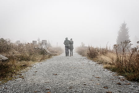 two, person, walking, withered, leaf, foggy, place