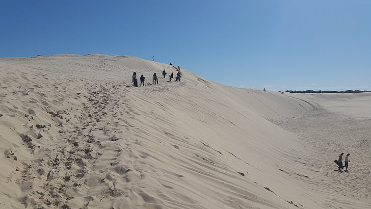 Austrália, natureza, deserto, Duna de areia, areia