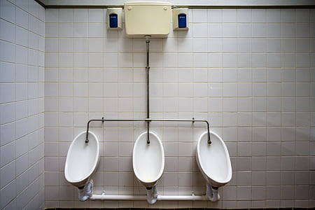 PP, urinari, masculí, WC, Lavabo, públic, simètrica