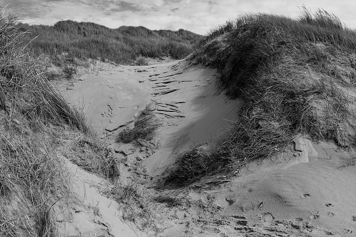 dune, lee du Nord, Holland, Pays-Bas, noir et blanc, traces, sable