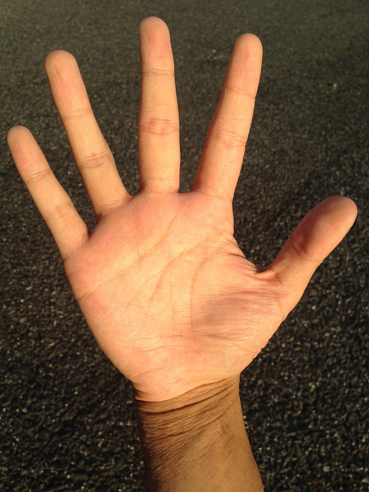 Φοίνικας, χέρι, δάχτυλο, λεύκανση, παλάμη ανάγνωση, Νέοι, Ιαπωνικά