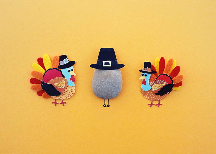 thanksgiving, turkey, holiday, dinner, traditional, autumn, colored background