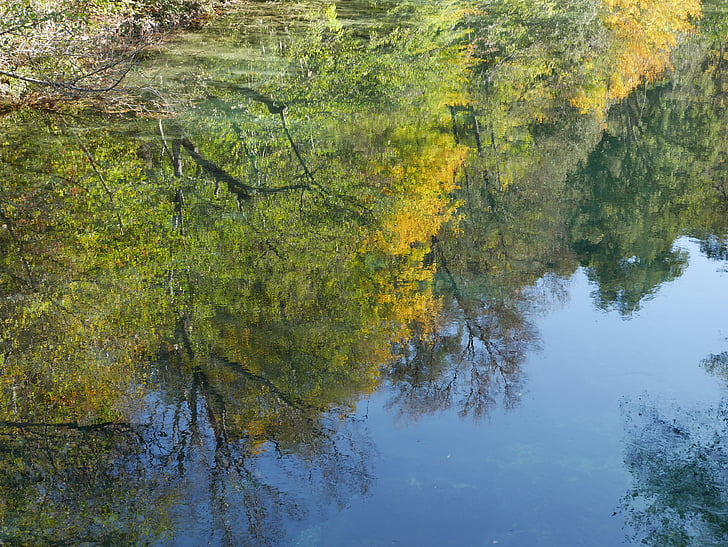 reflexió, arbre, tardor, mirall, Pla de l'aigua, basat en