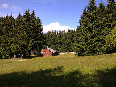 erbeskopf, germany, landscape, log cabin, forest, trees, woods
