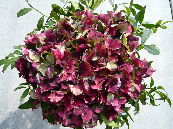 bouquet di compleanno, Strauss, bouquet, decorativi, fiore