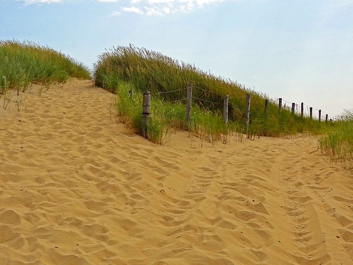způsob, Užijte si více canters, duny, léto, přírodní rezervace, pláž, Severní moře