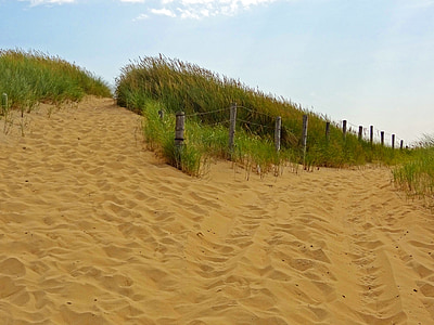 sätt, Njut av mer Planreducerare, Dunes, sommar, naturreservat, stranden, Nordsjön