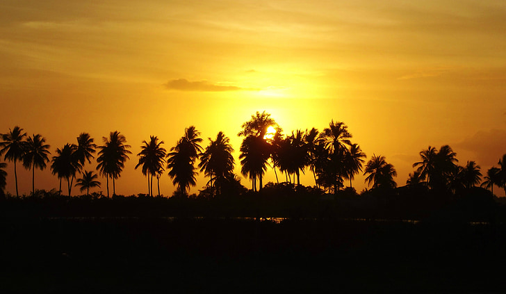Aurora, kokos træer, Sol, Mar, Beira mar, Beach