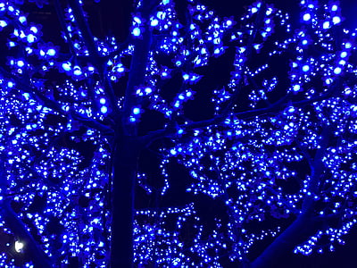 lights, blue, tree, night, glow, evening, pattern