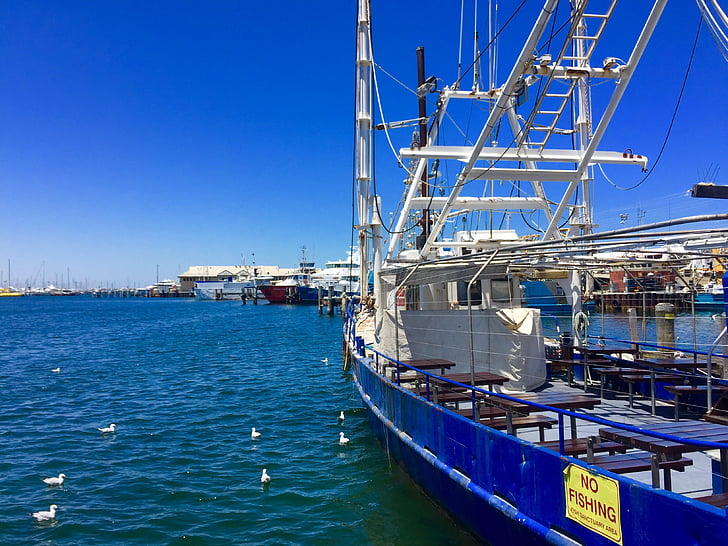 Fremantle port, Perth, Australien, Fremantle, västra, båt, docka