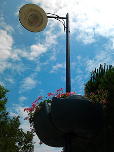 lampe, Ganesh, blomst