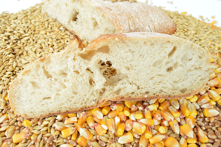 kruh, žita, pšenice