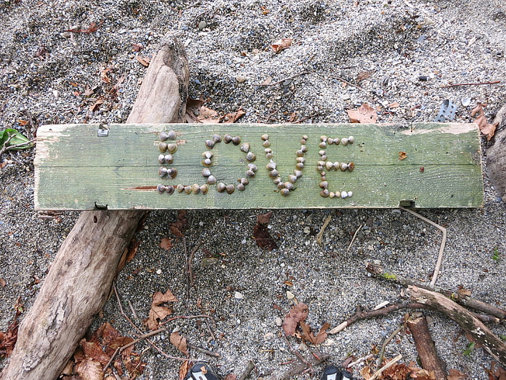 Kærlighed, sand, panel