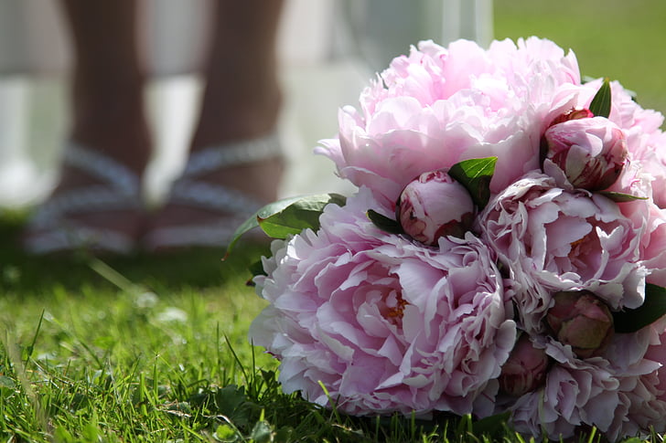 Poroka, poročni šopek, potonika, blizu, Romantični, roza, cvetje