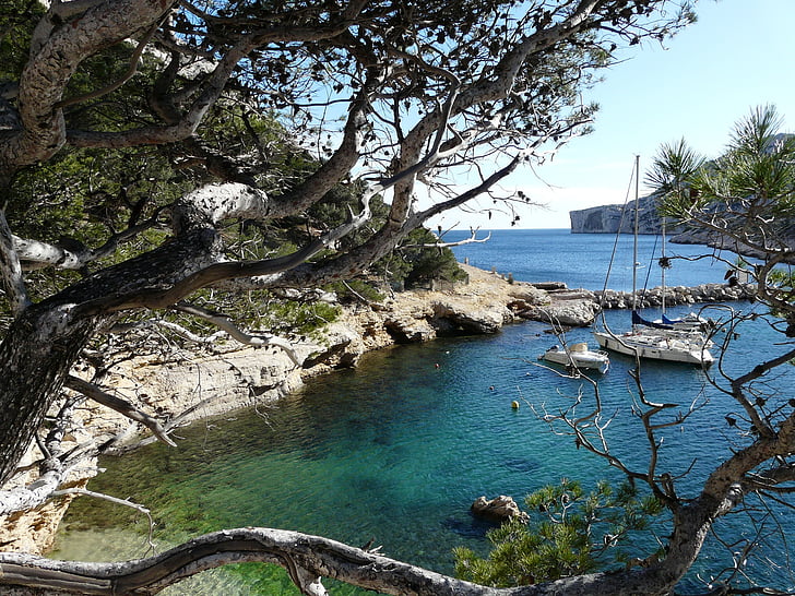 Marseille, Frankrig, Cove, natur, havet, træ, scenics