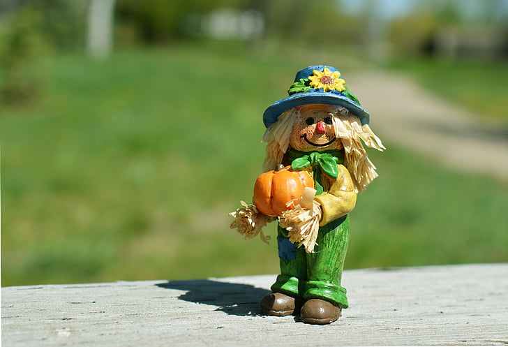 scarecrow, pumpkin, autumn, october, hat, thanksgiving, harvest