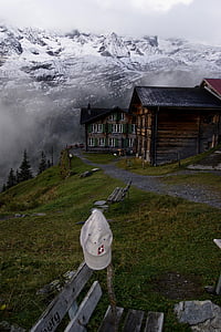 İsviçre, dağlar, dağ, doğa, doğal, kar, Bern
