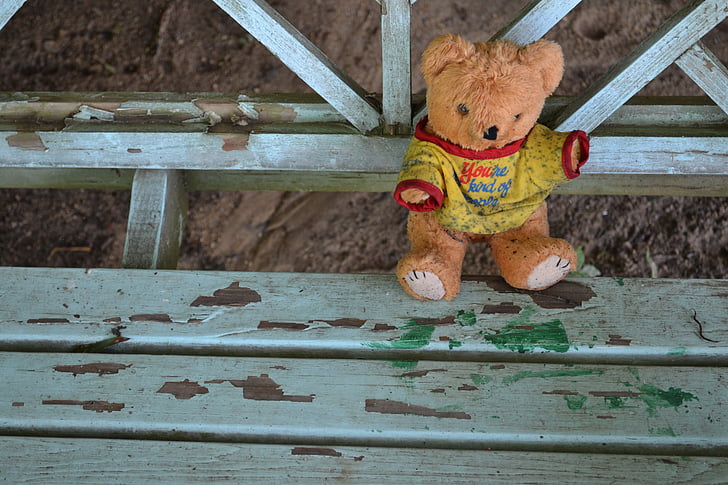 Teddy bear, dzīvnieka izbāzeni, netīri, plīša, viens pats, vientuļi, vienotā