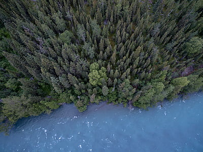 skats no putna lidojuma, zils ūdens, skujkoki, egles koku, meža, ezers, daba