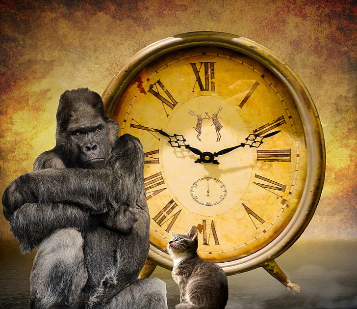 Čas, symbol, hodiny, ukazovateľ, čakať, trvalá udržateľnosť, Monkey