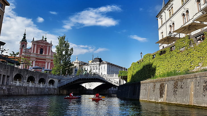 Ljubljana, folyó, Szlovénia, híd, Laibach, kajak-kenu, építészet