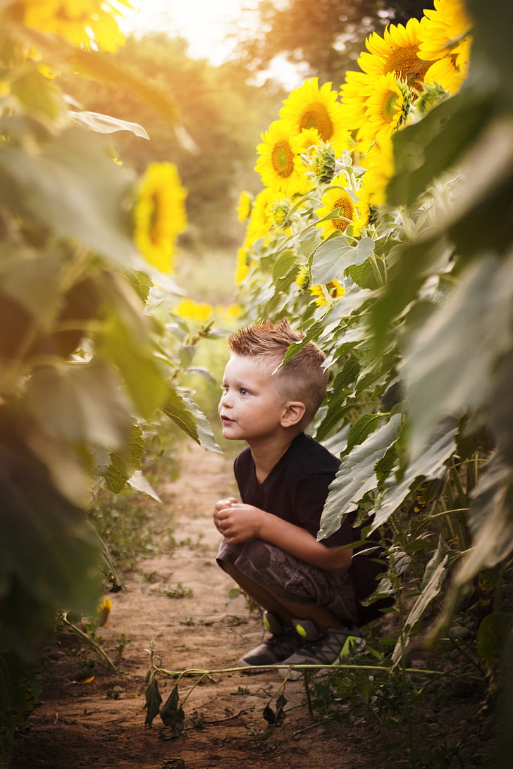 child, sun, sunflowers, field, happy, kid, childhood