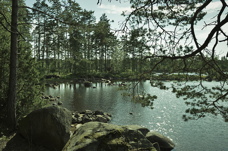 l'aigua, Llac, Suècia, paisatges, natura, reflectint, posta de sol