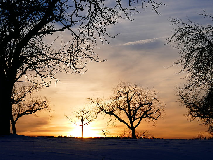zimowy nastrój, drzewo, zachód słońca, Kahl, śnieg, zimowe, zimno
