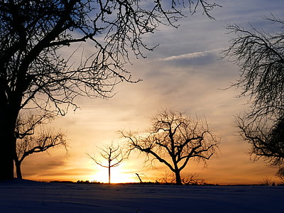 winter mood, tree, sunset, kahl, snow, winter, cold