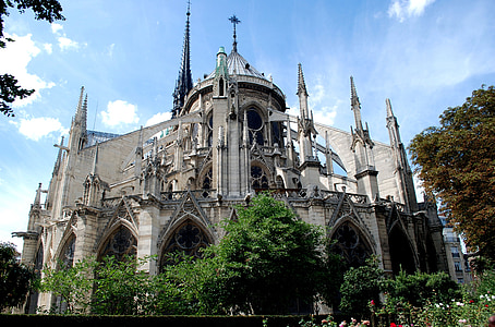 Katedrála, Paríž, Hrbáč
