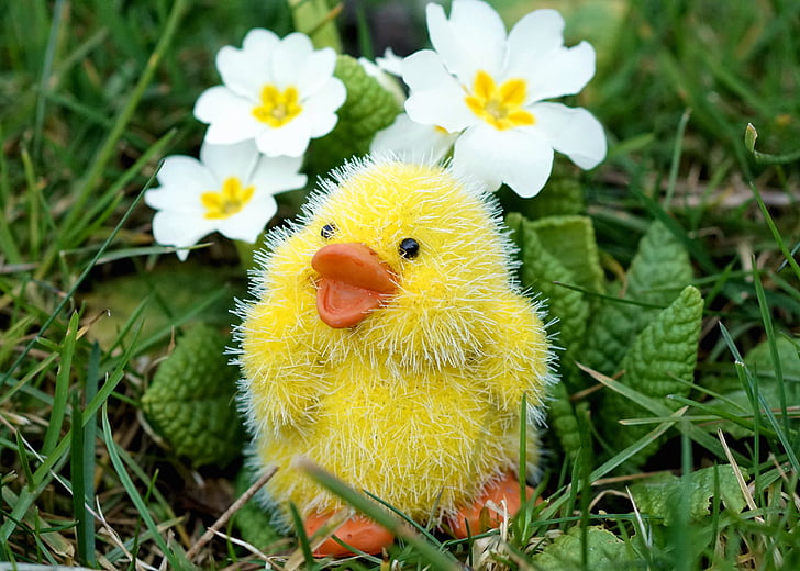 easter, chicks, easter decoration, cute, decoration, happy easter, easter theme